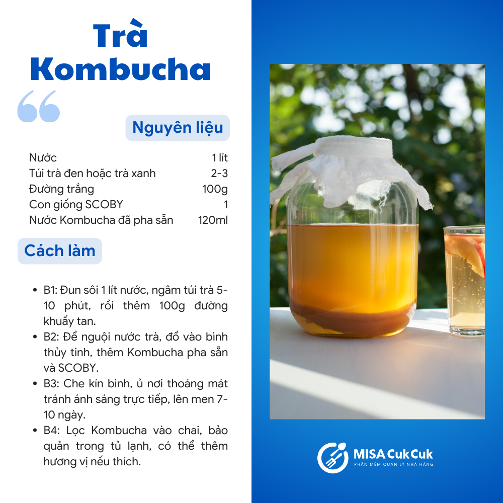 Trà Kombucha