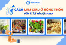 10 cách làm giàu ở nông thôn