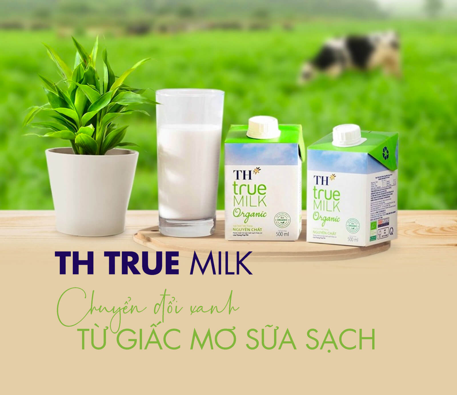 TH True Milk nổi tiếng với các sản phẩm sữa tươi sạch